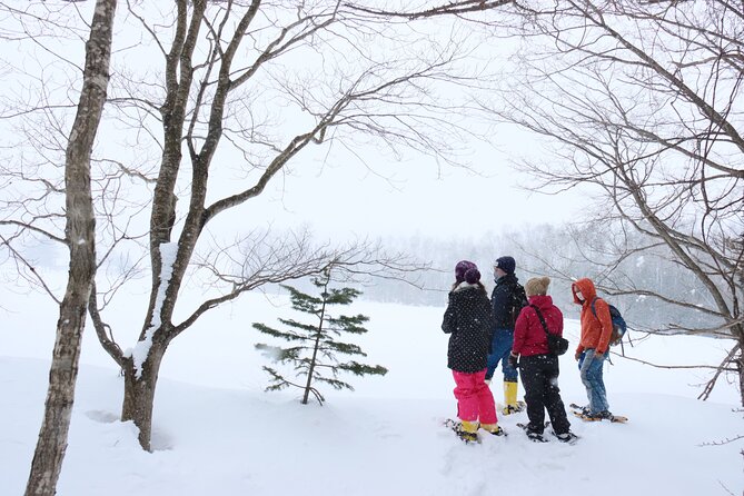 Snowshoe Tours in Niseko Explore Beautiful Snowscapes Adventure - Embracing the Beauty of Nisekos Outdoor Playground