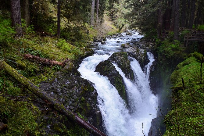 Sol Duc, Lake Crescent, and Hurricane Ridge Guided Tour in Olympic National Park - Tour Requirements and Recommendations