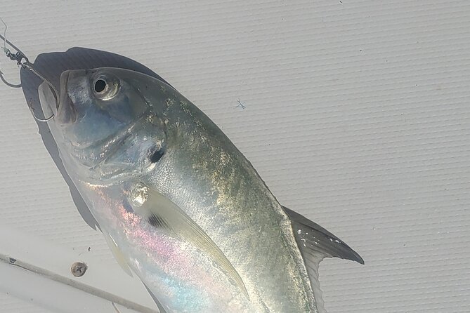 Sonnys Boat Tours Half Day Fishing Charter Review - Meeting and Pickup