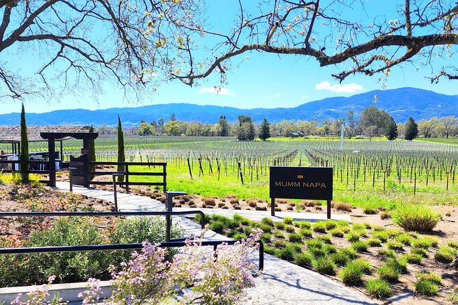 Sonoma and Napa Champagne Wine Private Tour Half Day - Group Options and Pricing