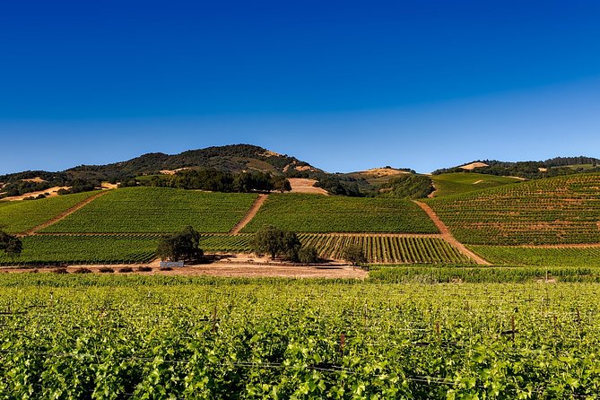 Sonoma and Napa Wine Tour Private Tours 8 to 10 Hours Max 14 Pax - Transportation Details
