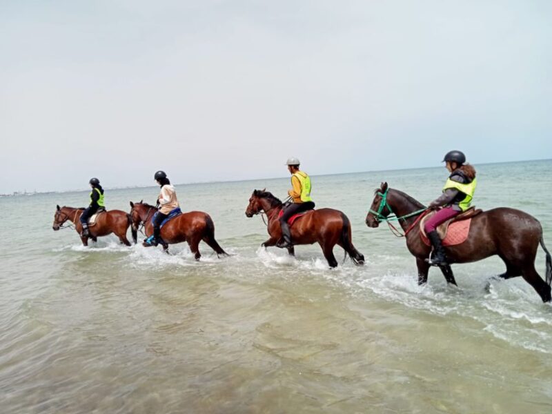 Sousse/Monastir: Private Horseback Riding Trip With Transfer - Itinerary and Experience