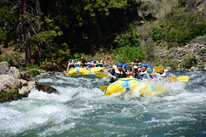 South Fork, American River: Chili Bar (Class III+ Whitewater) - Meeting and Pickup