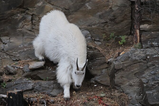 Spirit of the West: Devils Tower, Spearfish Canyon & Deadwood - Discovering Spearfish Canyon