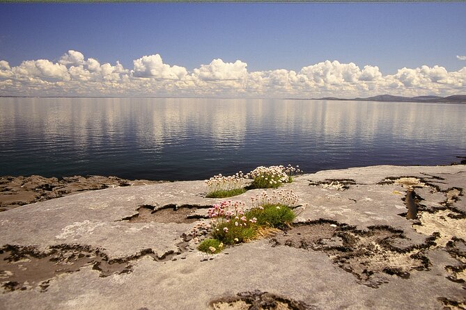 Spiritual Walk in the Burren. Clare. Private Guided. 4 Hours. - What to Expect