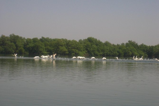 Sport Fishing in Delta Dunarii With Camely Cruise Boat. - What to Expect on Board