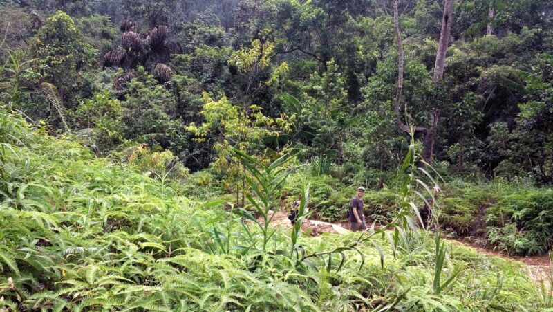 Sri Lanka Rainforest Trekking, Wildlife Safari, Water Sport - Itinerary Highlights