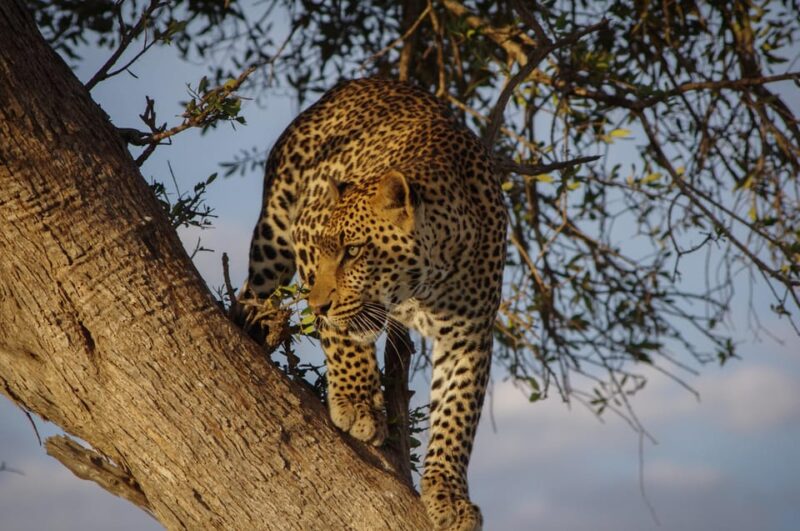 Sri Lanka: Wildlife and Beach - Itinerary Highlights