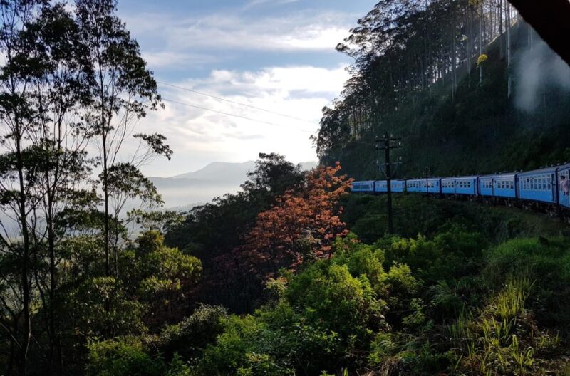 Sri Lanka: Wildlife Tour, Rainforest, National Park, - Itinerary Highlights