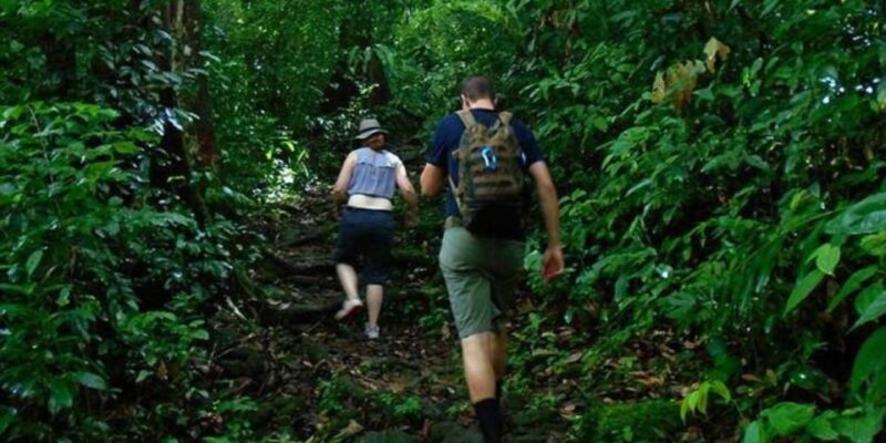 Sri Lankas Spectacular 7-Day Hideaway Experience - Tour Details and Duration
