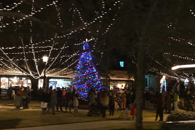 St. Augustine Nights of Lights Celebration Review - Tour Details