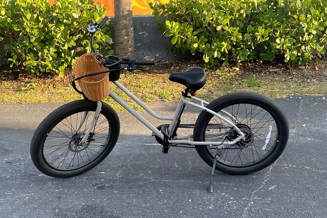 St Pete E-Bike Rentals Review: A Fun Experience - Rental Details and Pricing