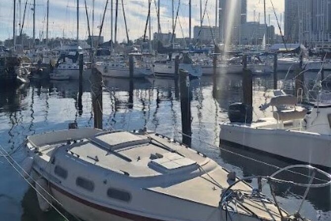 St Pete Sip & Dine Tour Review - Accessibility and Recommendations