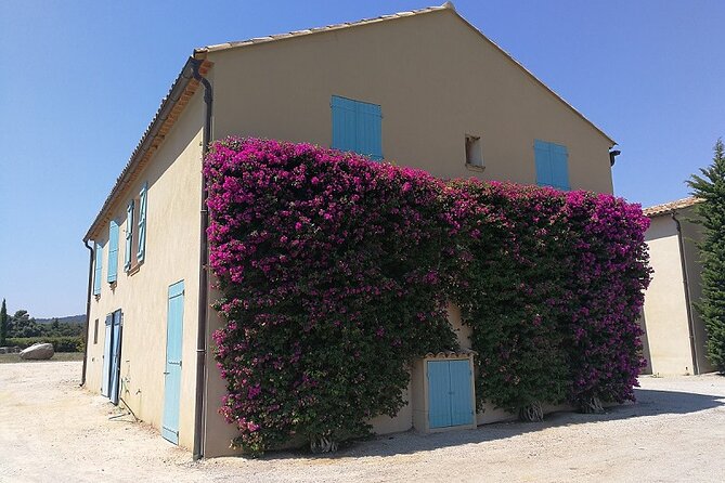 St Tropez and Around - Tour Highlights