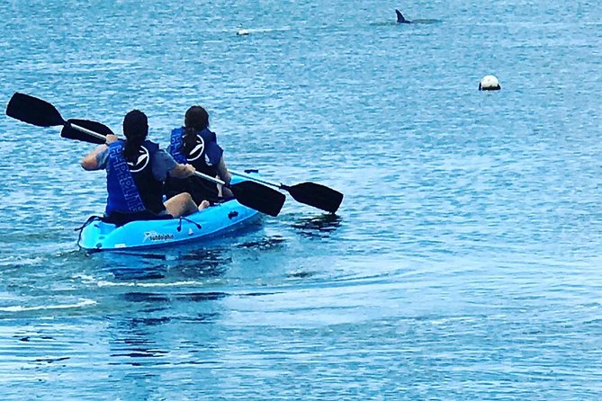 Stand Up Paddle Board Rental - Tandem Paddling for Couples