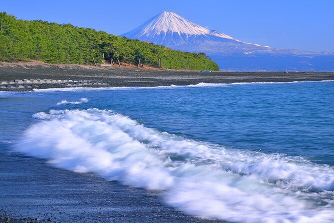 Step-Free Easy Going Tour From Shimizu Port / Small Bus - Inclusions