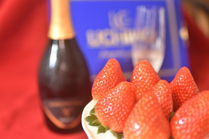 Strawberry Picking and Snow Experience at Mt Fuji Ski Resort for VIP - Capturing Unforgettable Moments