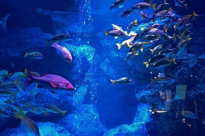 Sumida Aquarium Ticket Tokyo - Location and Transportation