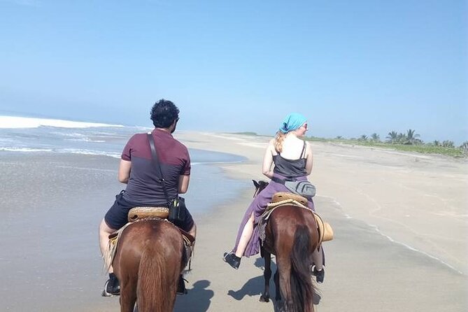 Sunset Eco Horse Tour in Mazunte - Pickup and Meeting Details