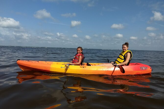 Sunset Kayaking Tour at Manatee Cove With Manatee & Dolphin Sightings - Educational Aspect