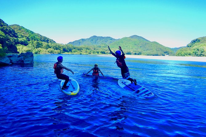 SUP Downriver Tour at Niyodo River - Included Equipment