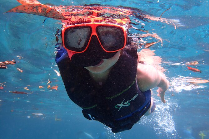 Swim With Manatees In Crystal River, Florida - Preparing for the Manatee Encounter