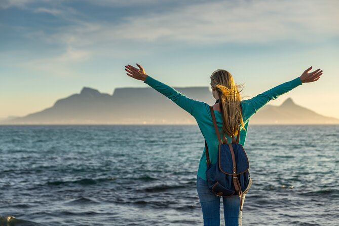 Table Mountain, Penguins, Cape of Good Hope and Stellenbosch Tour - Itinerary Overview