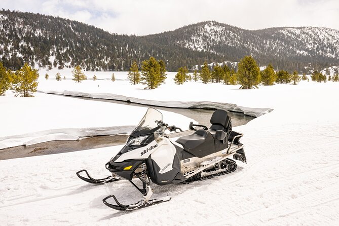 Tahoe Snowmobiling Tours Review: Fun Adventure Awaits - Equipment and Rentals
