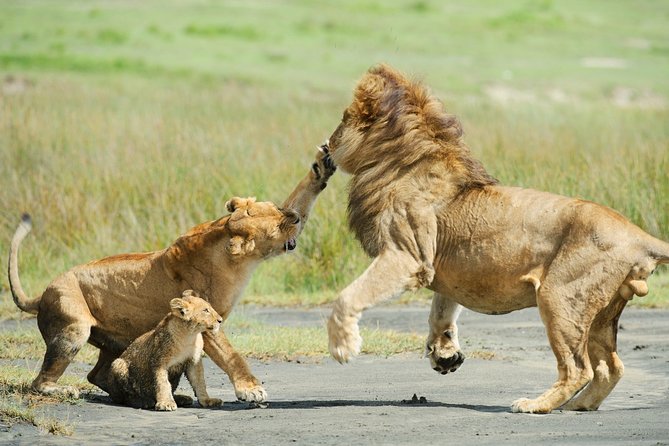 Tanzania Family Holiday; 8-Days Lodge Safari - Accommodation Details