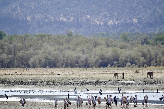 Tanzania Tours Group Sharing 3 Days 2025/2026 - Itinerary Highlights
