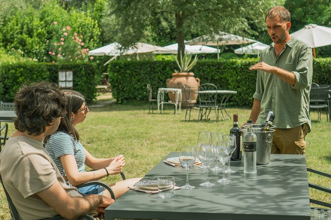 Tasting of Vernaccia, Chianti and Extra Virgin Olive Oil - Location and Meeting Point