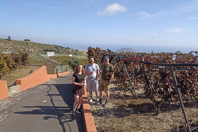 Tenerife Wine Tasting Private Tour - Pickup Information