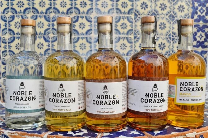 Tequila, Mezcal and Raicilla Tasting - Production Process Insights