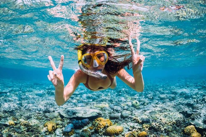 The Adventure East of Mauritius: 3-Watersport Activities & Blue-Bay Marine Park - Highlights of Blue-Bay Marine Park