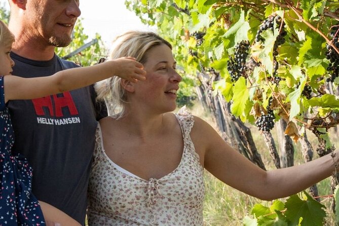 The Karst Cuisine Week & Skocjan Caves - Discovering Karst Cuisine