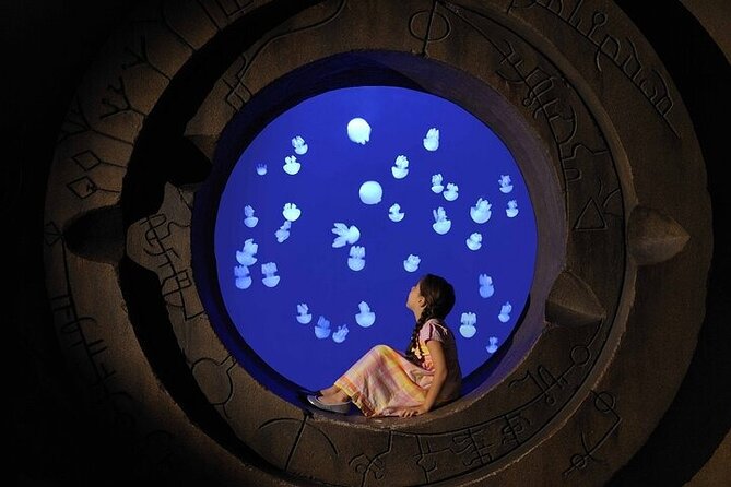 The Lost Chambers Aquarium - Operating Hours and Booking