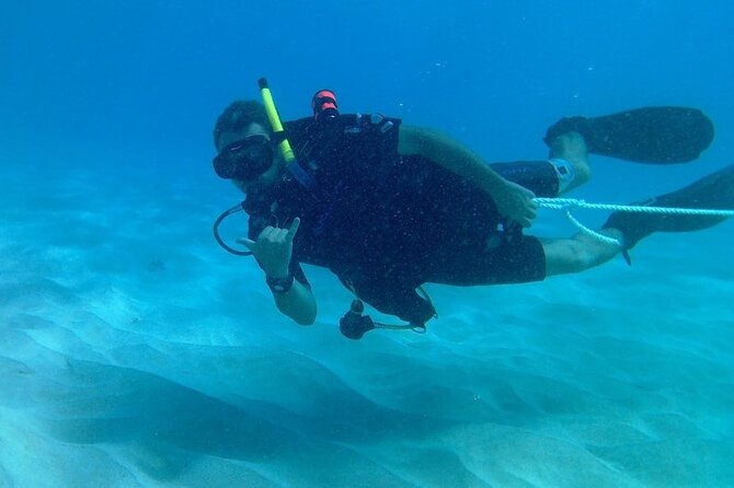 The Original Tiger Shark Challenge - What to Expect During the Experience