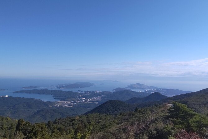 The Sacred Ise Shrine, Mikimoto Island, Etc, One Day Tour - Accessibility and Participation