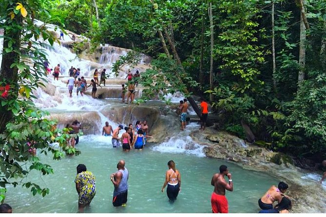 The Ultimate Dunns River Falls & Blue Hole Combo (Private Tour) - What to Expect at Dunns River Falls