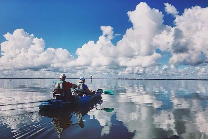 Thousand Islands Mangrove Tunnel Kayak Tour With Cocoa Kayaking! - Wildlife Spotting