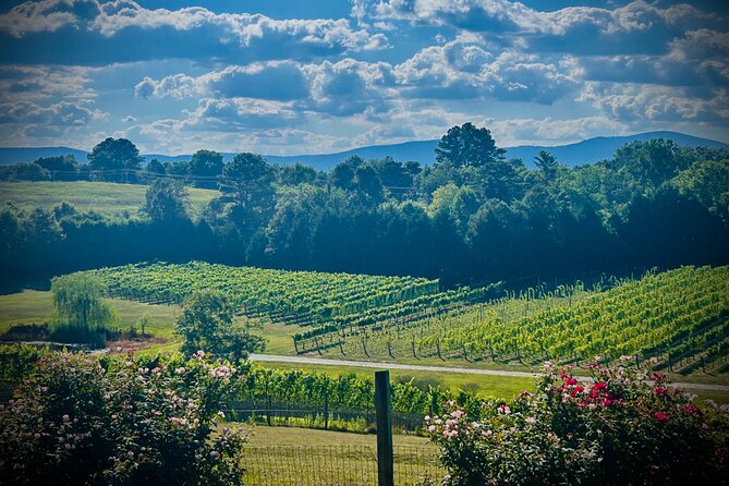 Three Vineyards Half Day Private Wine Tour From Asheville - Guided Experience