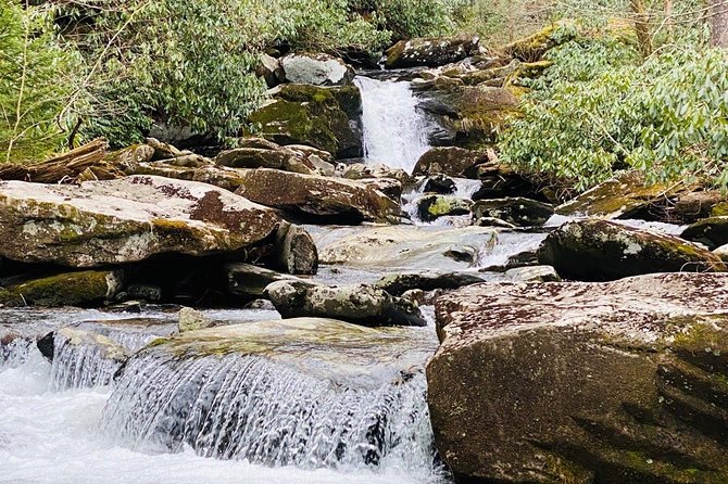 Thundering Streams and Falls of the Smokies Guided Hiking Tour - Hiking Experience
