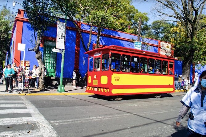 Ticket for the Frida Kahlo Museum - Common Ticketing Issues