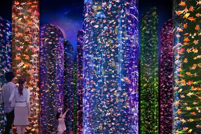 Tokyo Art Aquarium Museum E-Ticket With Optional Tokyo Metro Pass - Pricing and Booking Information