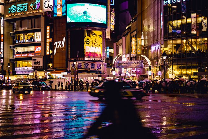 Tokyo Full Day Trip With Private Guide and Luxury Car - Booking Information