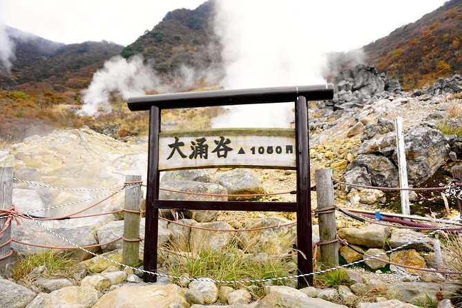 Tokyo: Hakone, Owakudani & Gotemba Premium Outlet 1DAY Bus Tour - Tour Conditions and Policies