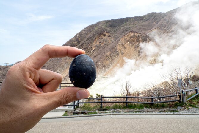 Tokyo Hakone:Mt.Fuji, Owakudani, Oshino Hakkai or Open Air Museum - Inclusions and Tickets