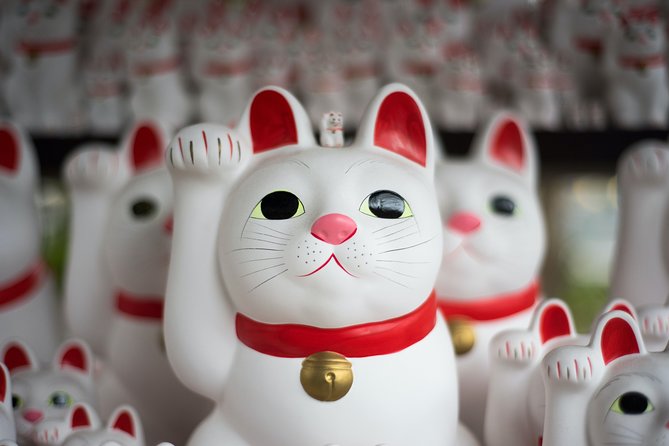 Tokyo Half-day Customized Private Tour - Inclusions and Logistics