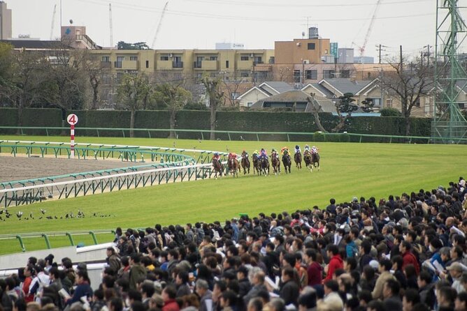 Tokyo Horse Racing and Gambling Tour - Inclusions and Exclusions
