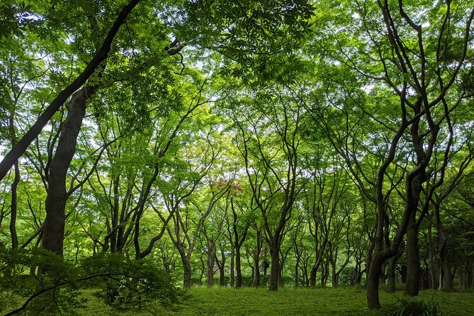 Tokyo Imperial Palace Higashi Gyoen Wellness Tour With Lunch - Inclusions
